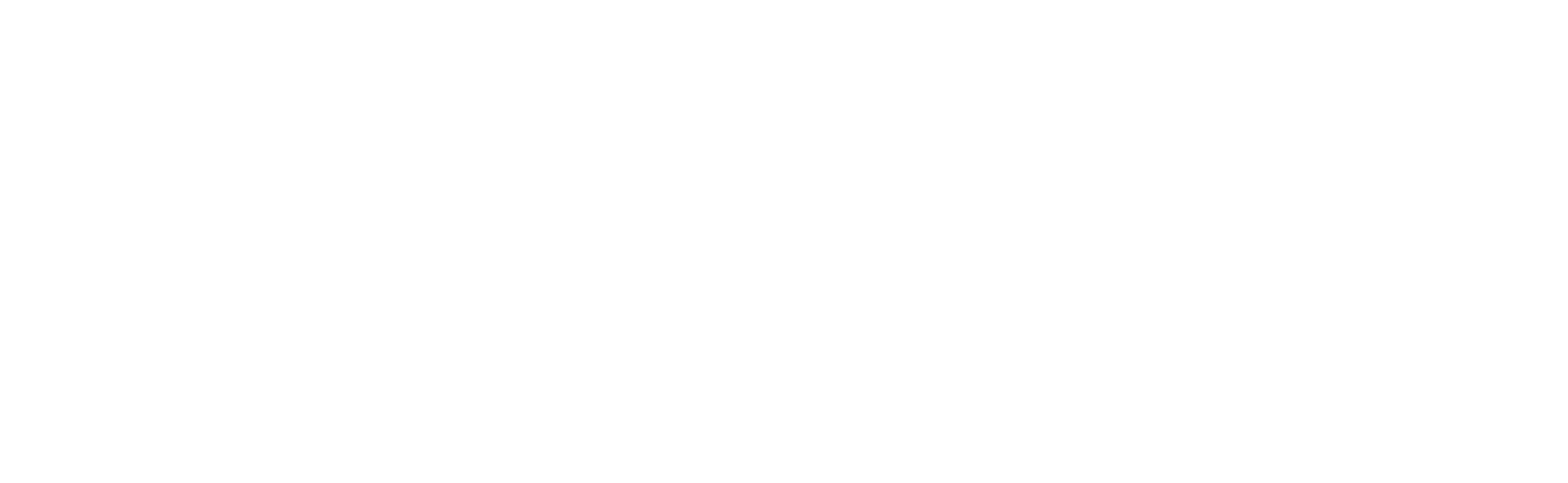Holistic Enthusiast